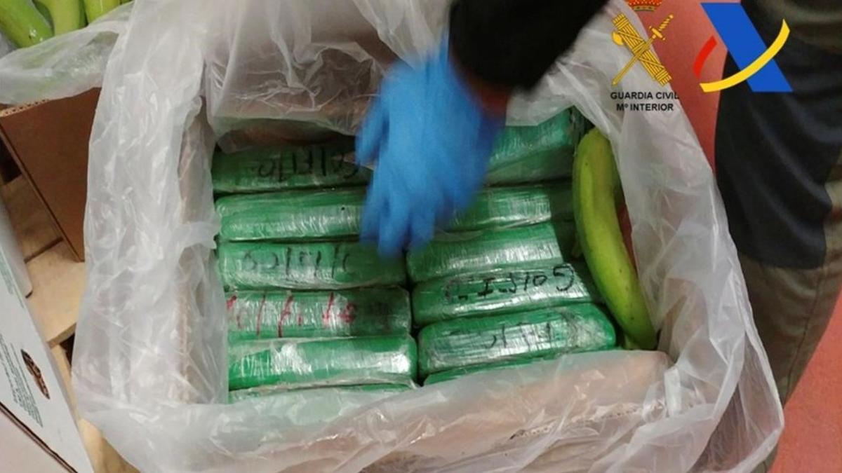 Paquetes de cocaína ocultos en un cargamento de bananas procedentes de Colombia y detectados en Algeciras.
