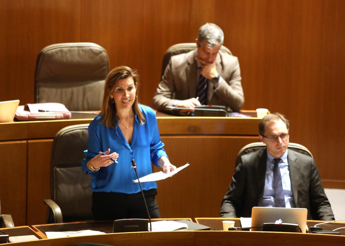 Jara Bernués, en su intervención en el pleno del viernes.