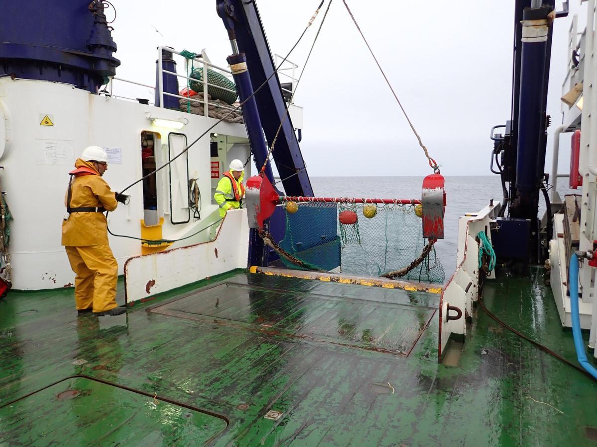 Trabajos desde la cubierta del barco durante la expedición científica.