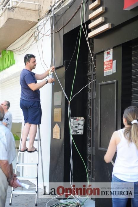 El día después de la caída de la rama del ficus de