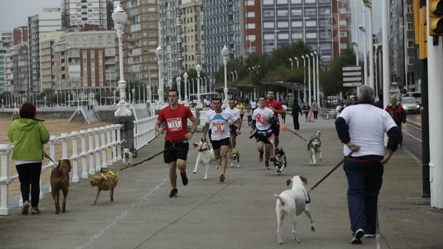 Participantes en una carrera con perros por el paseo del Muro.