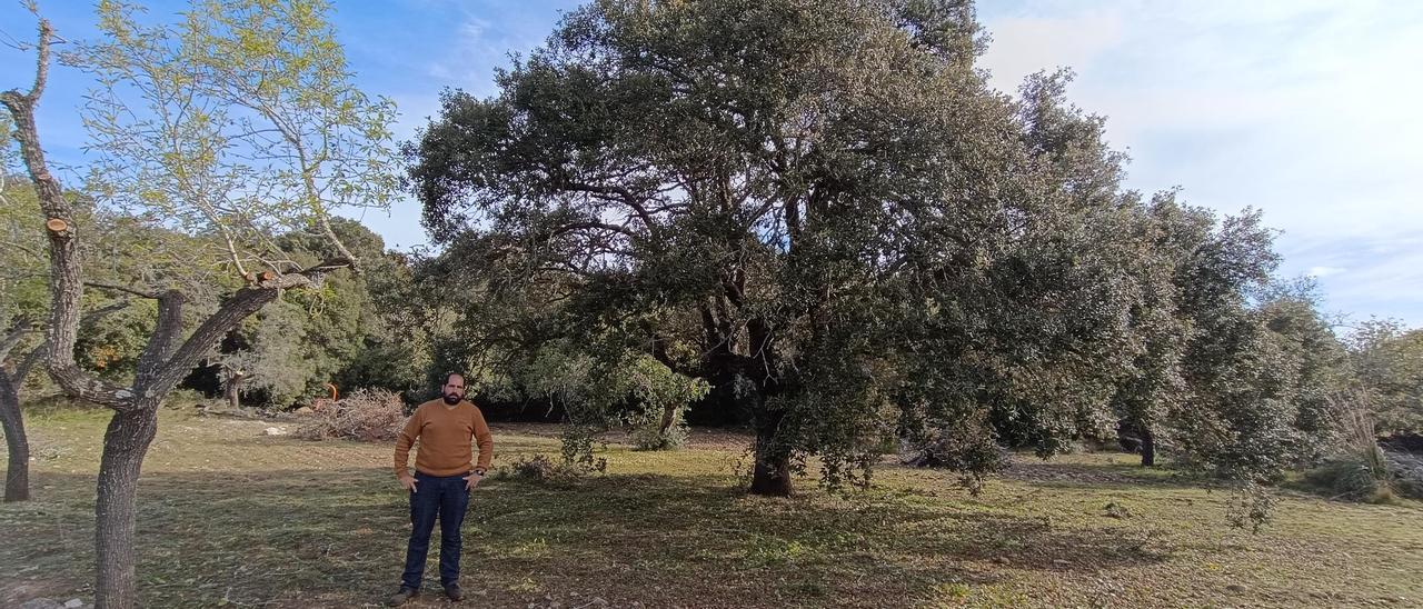 Agricultura | El proyecto de 'Boiet orgànic', en imágenes