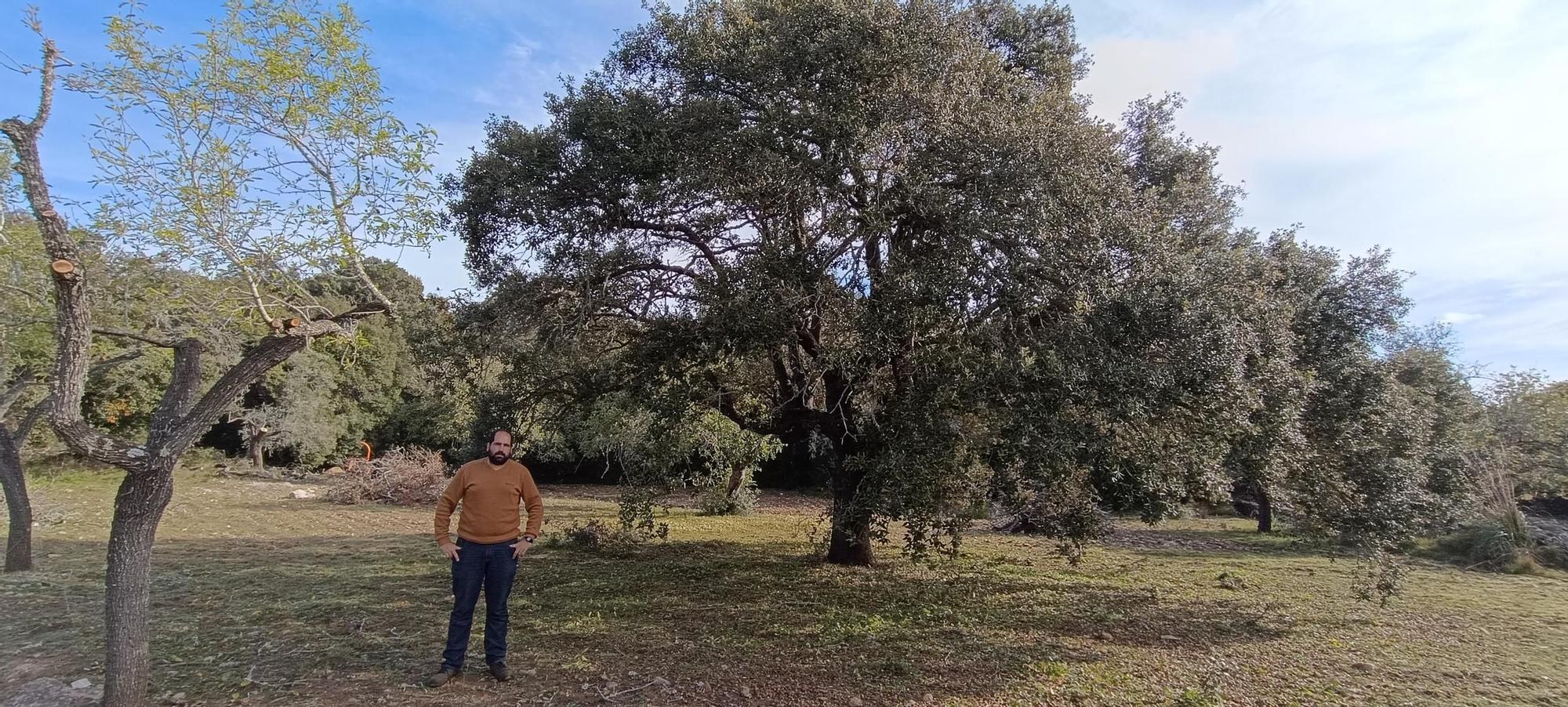 Agricultura | El proyecto de 'Boiet orgànic', en imágenes