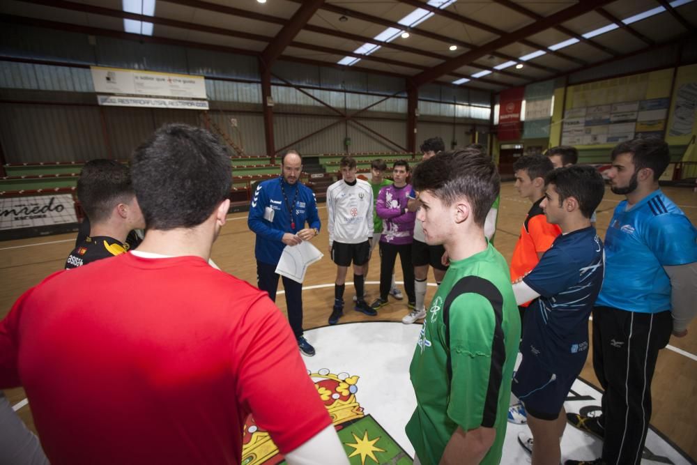 Las concentraciones de balonmano y baloncesto.