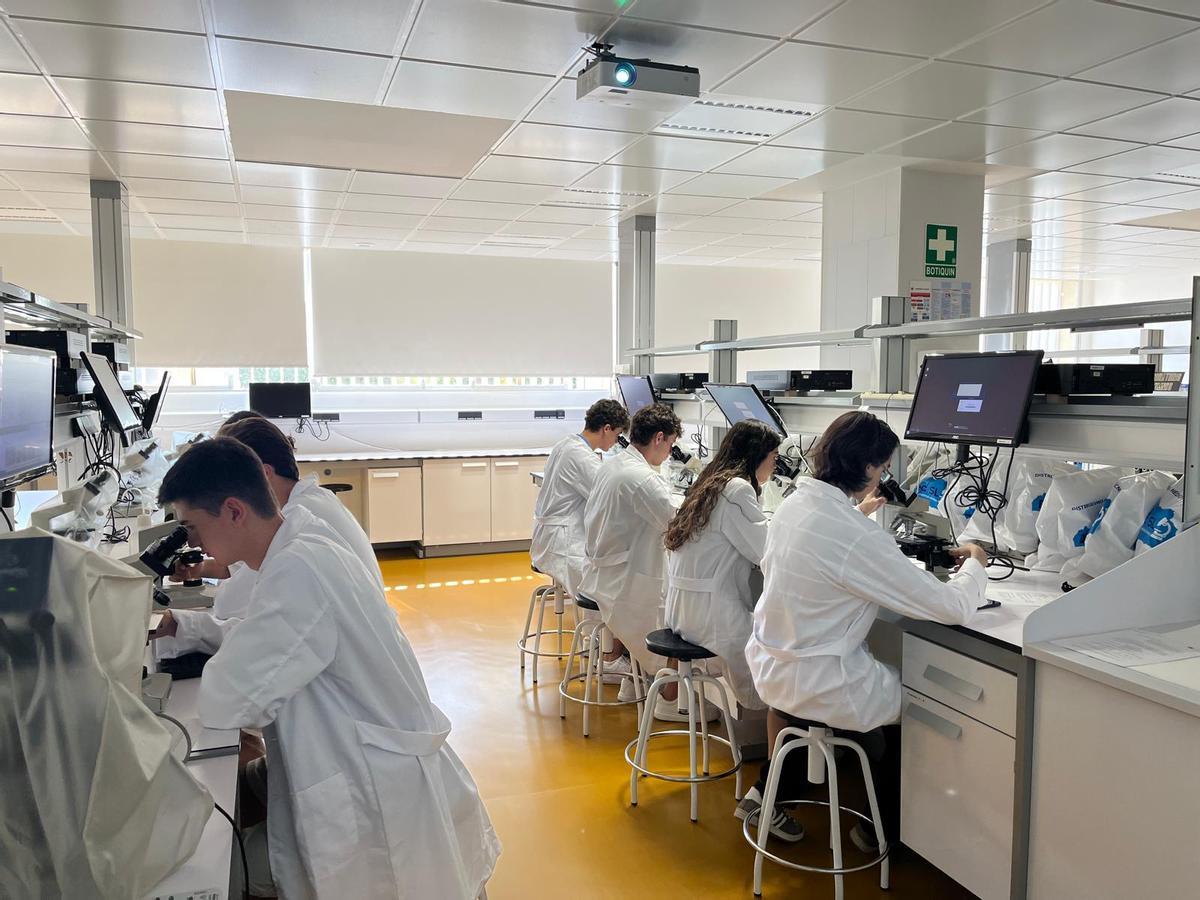 Los olímpicos en la semana de preparación el la UMA