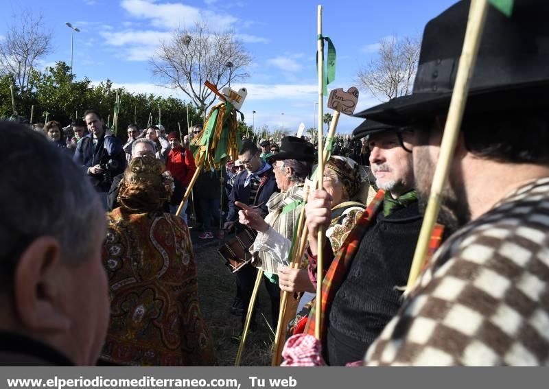 Romeria a la Magdalena 2016