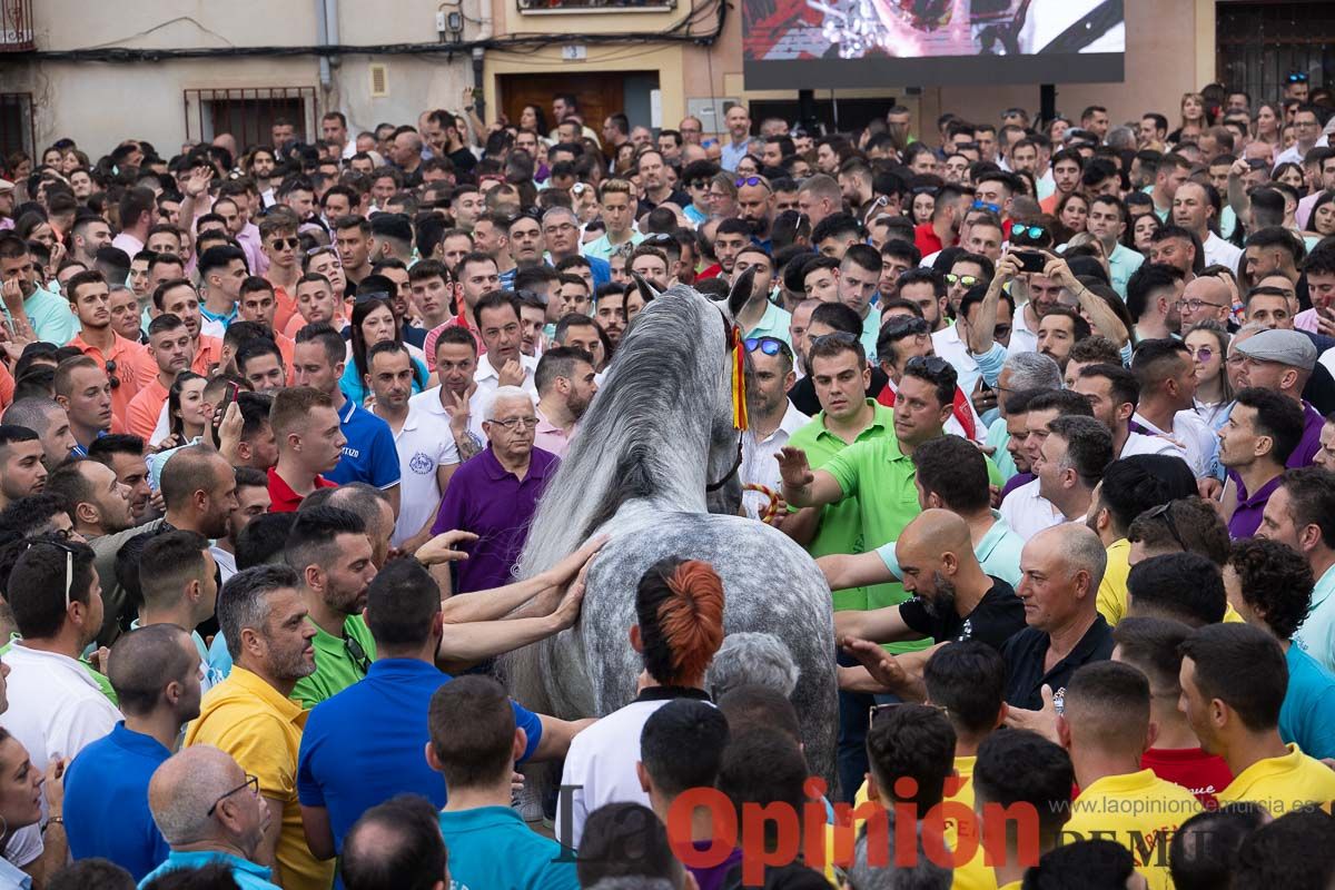 Así ha sido la entrega de premios del concurso morfológico de los Caballos del Vino de Caravaca