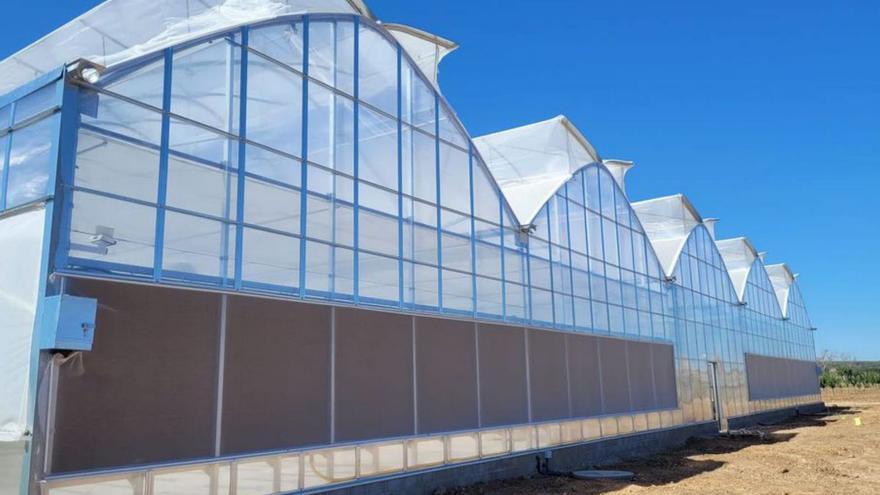 Gonvarri desarrolla un invernadero tecnificado para un huerto ecológico