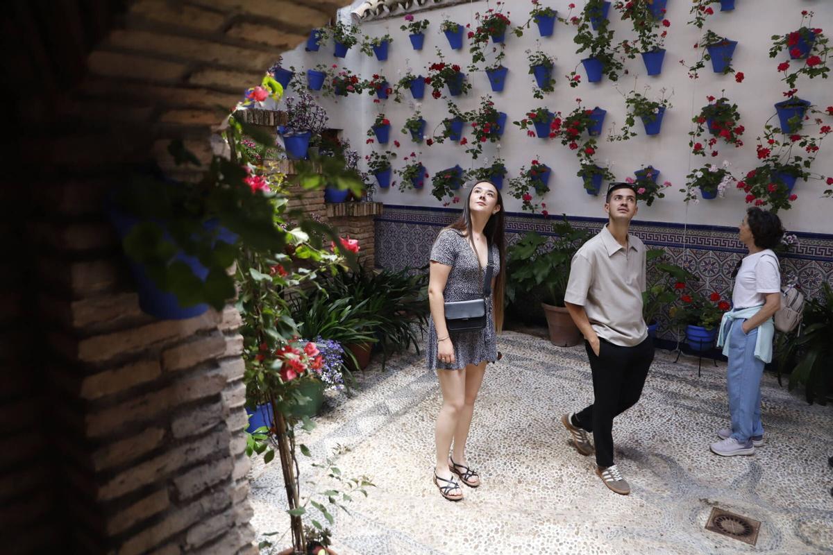 Estos son los patios ganadores de los primeros premios
