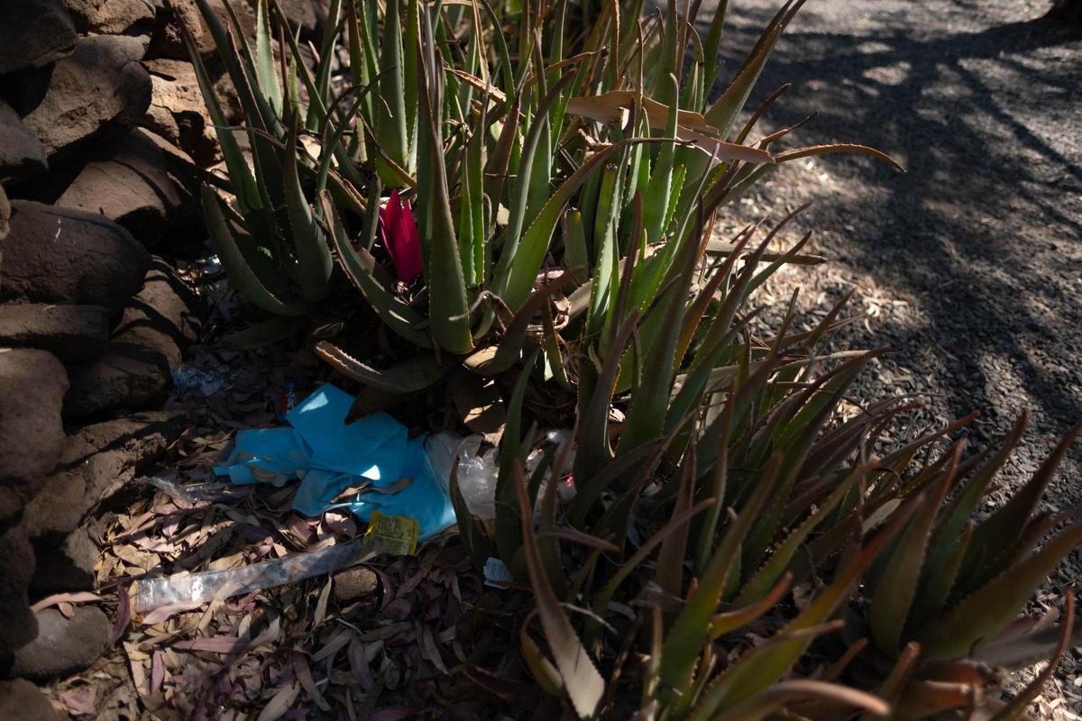 Rastros de basura en algunas zonas del parque