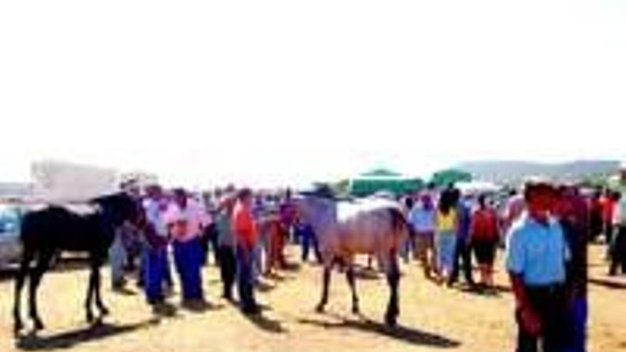 El rodeo equino cierra con éxito la feria de Zalamea