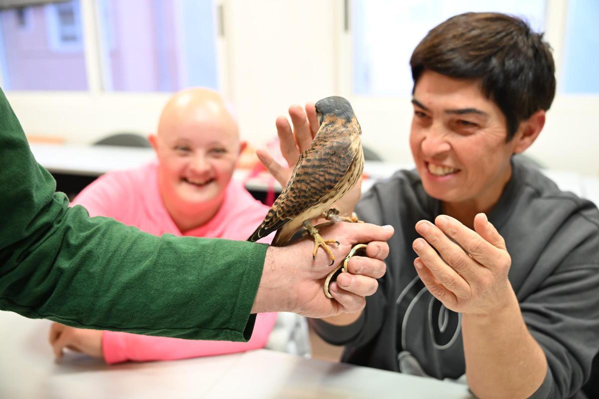 Terapia con aves rapaces para personas con diversidad funcional