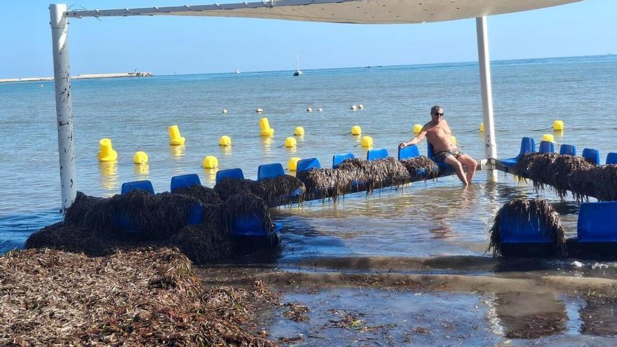 Playas con mucha vida en septiembre en Dénia