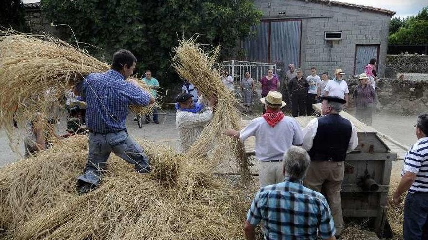 Un dos veciños cun mollo para mallar. // Bernabé/Javier Lalín