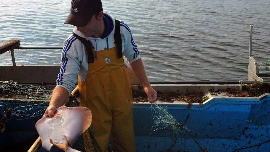 Un pescador sostiene un ejemplar de raya durante una jornada de trabajo.