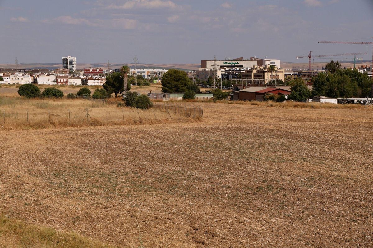 Terrenos de Ciudad Jardín de Poniente 2 y 3. Terreno entre San Rafael de la Albaida y el Club Hípico