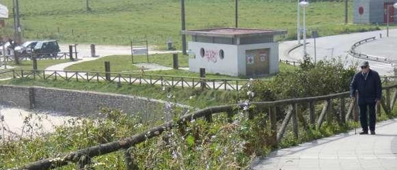 Maleza cerca del pequeño mirador ubicado junto a la playa de Toró.