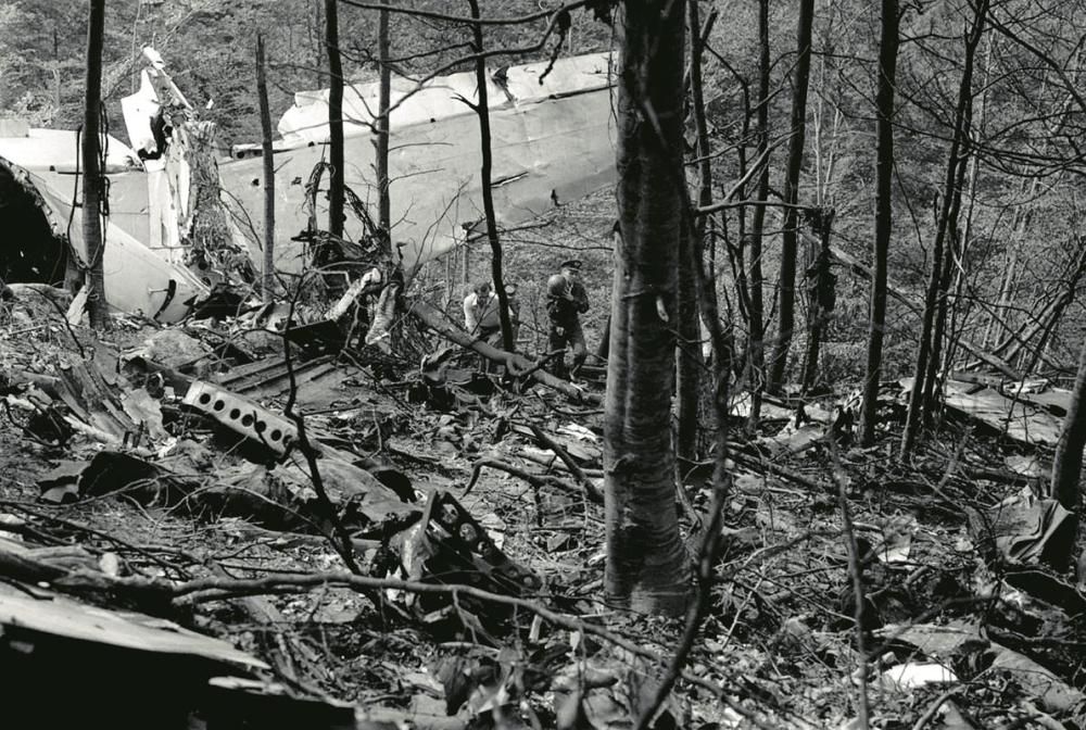 Fragments de l'avió entre arbres cremats a la zona del cim de les Agudes d'Arbúcies