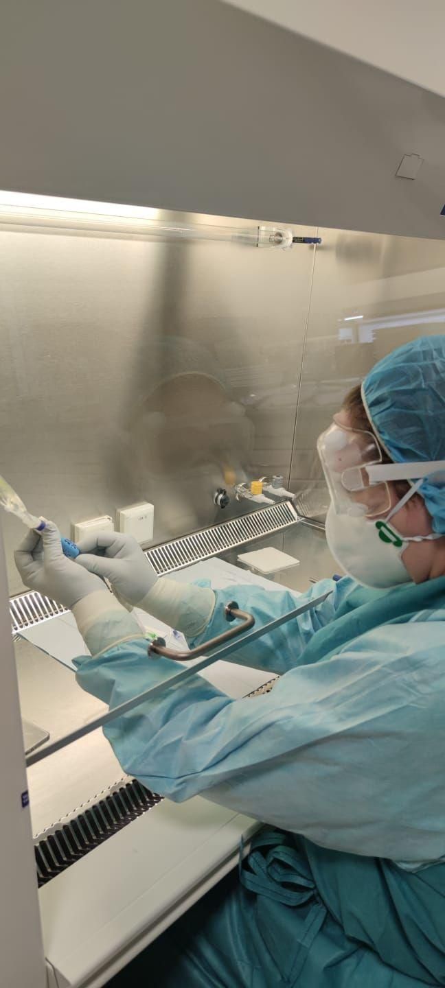 Preparación del tratamiento contra la hemofilia B con terapia génica en el hospital Álvaro Cunqueiro de Vigo