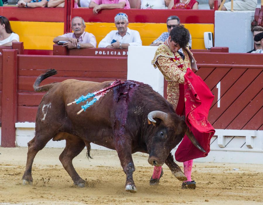 El novillero alicantino Jorge Rico triunfa en casa