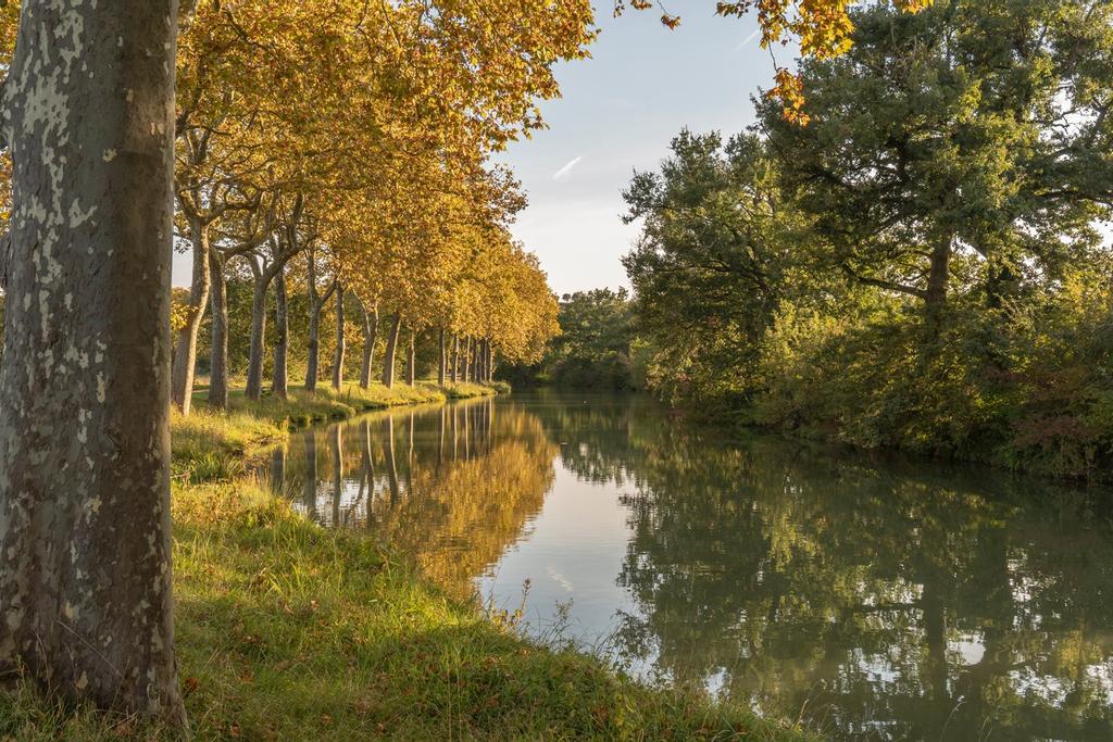 Canal du Midi, Toulouse