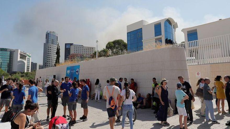 El Oceanogràfic recupera la normalidad tras un incendio