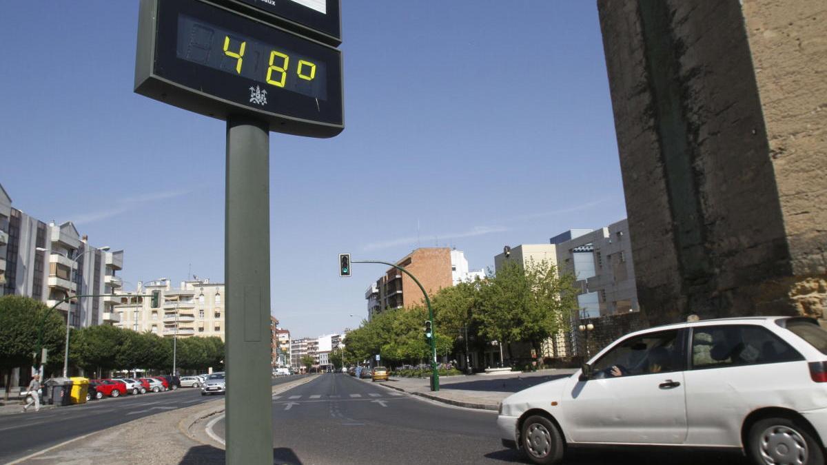 La temperatura del vehículo puede duplicarse en media hora incluso con las ventanillas bajadas