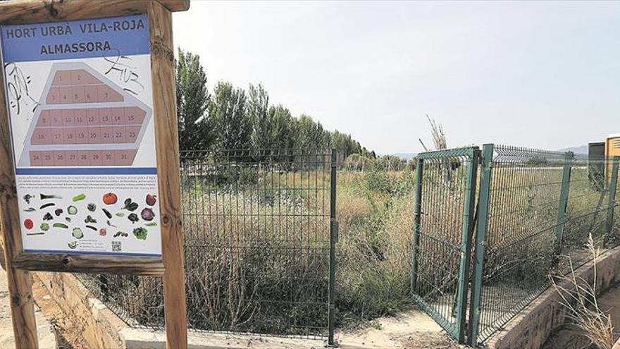 Almassora adjudica hoy los huertos urbanos tras meses de abandono