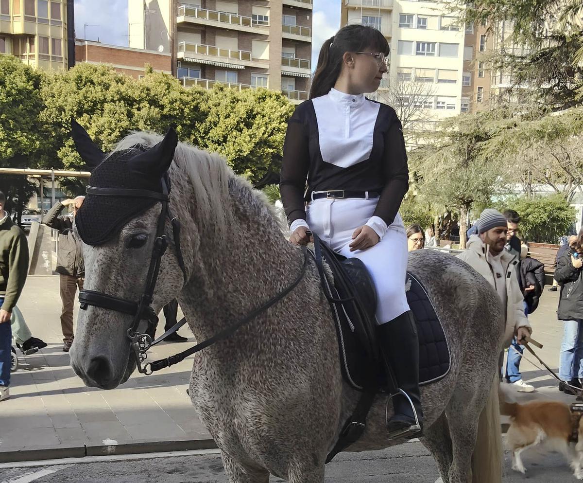 Las imágenes de la bendición de animales de Sant Antoni en Sagunt