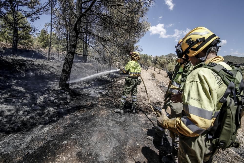 Incendio en La Torre de les Maçanes