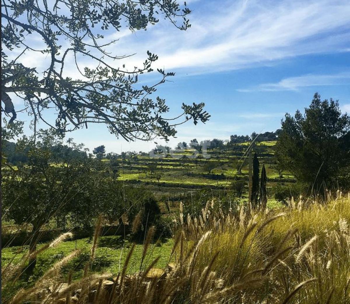 Exteriores de la vivienda