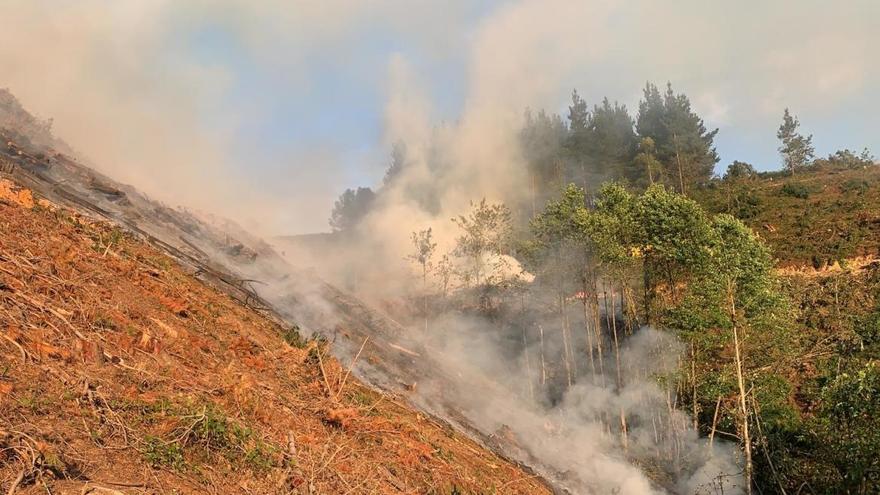 Los Bomberos sofocan un incendio forestal en Fontaniella (Cangas del Narcea)