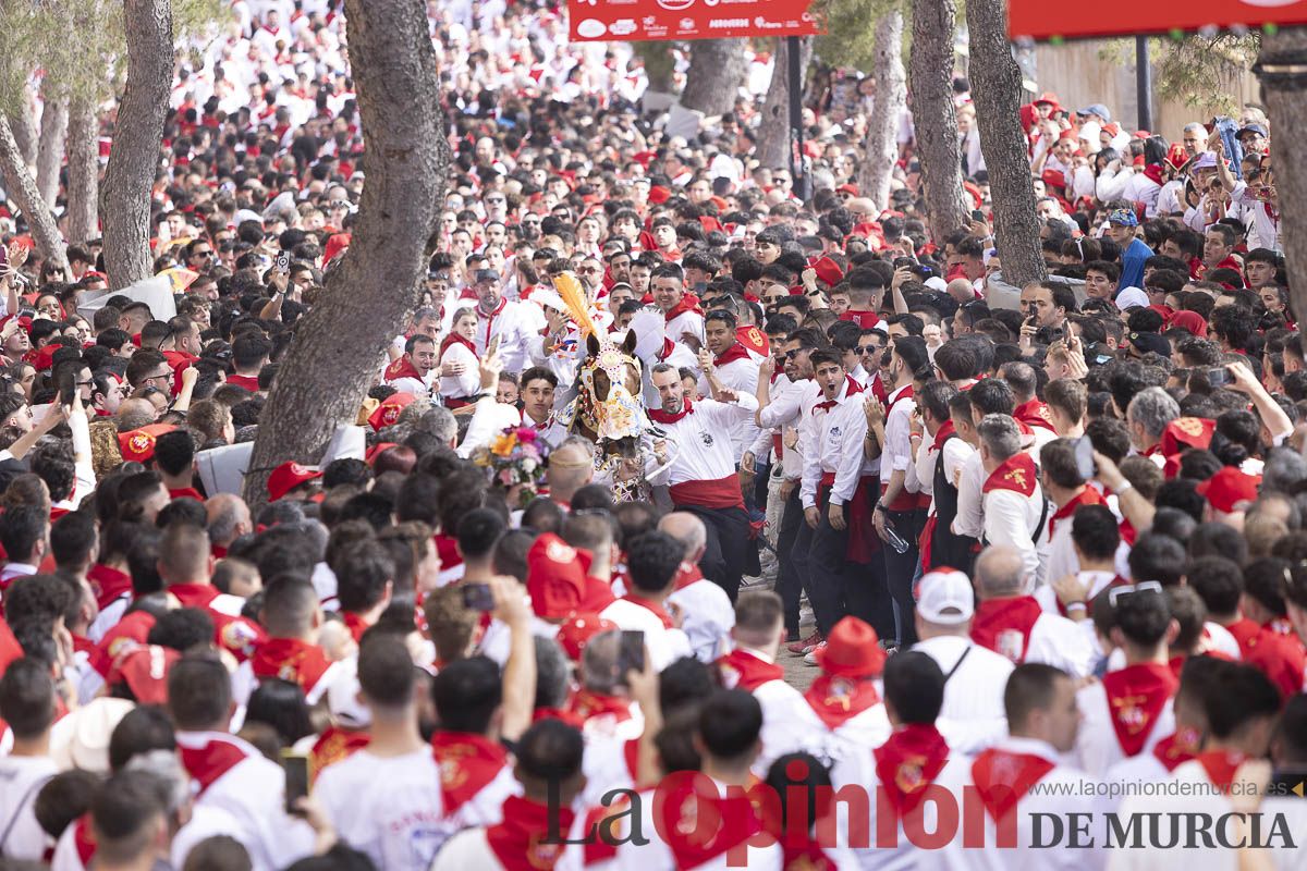 Así se ha vivido la carrera de Los Caballos del Vino en Caravaca