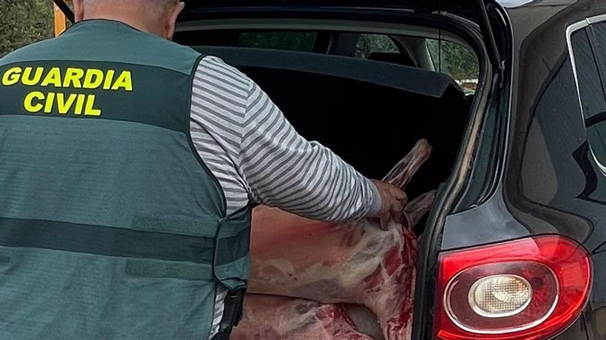 Desmantelados en Murcia varios mataderos ilegales que sacrificaban animales sin garantía sanitaria