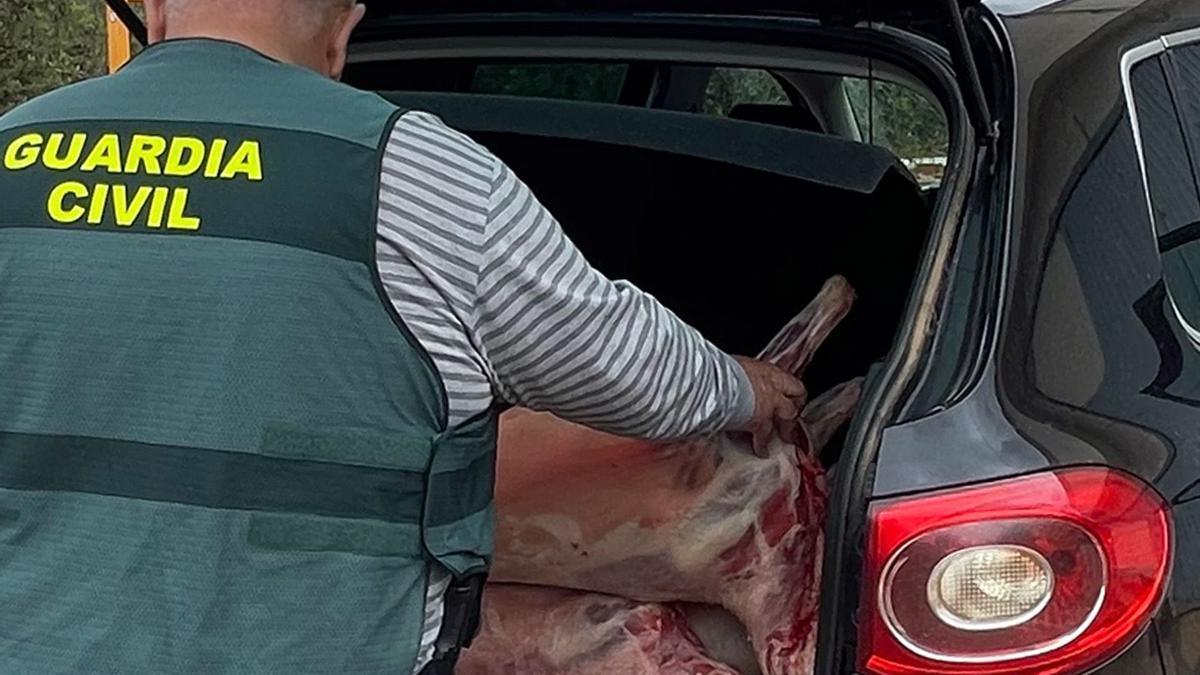 Un agente con carne encontrada en un maletero, durante la operación.