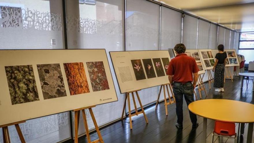 Dos personas observan algunos de los paneles de la exposición