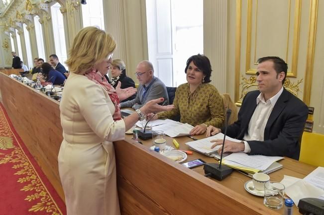 Pleno del Ayuntamiento de Las Palmas de Gran ...