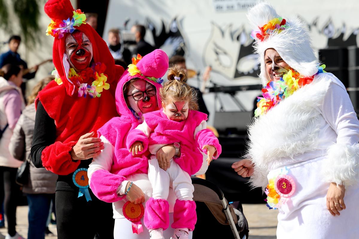 Todas las imágenes de la rúa de carnaval de Sant Josep