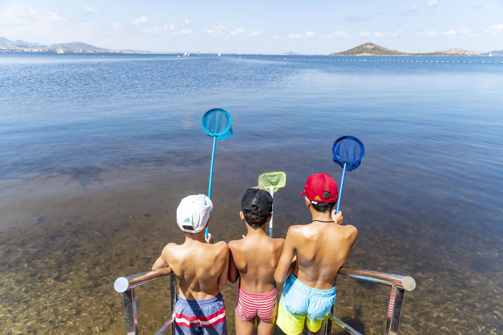 Las imágenes de la crisis del Mar Menor que quedarán grabadas en tu retina