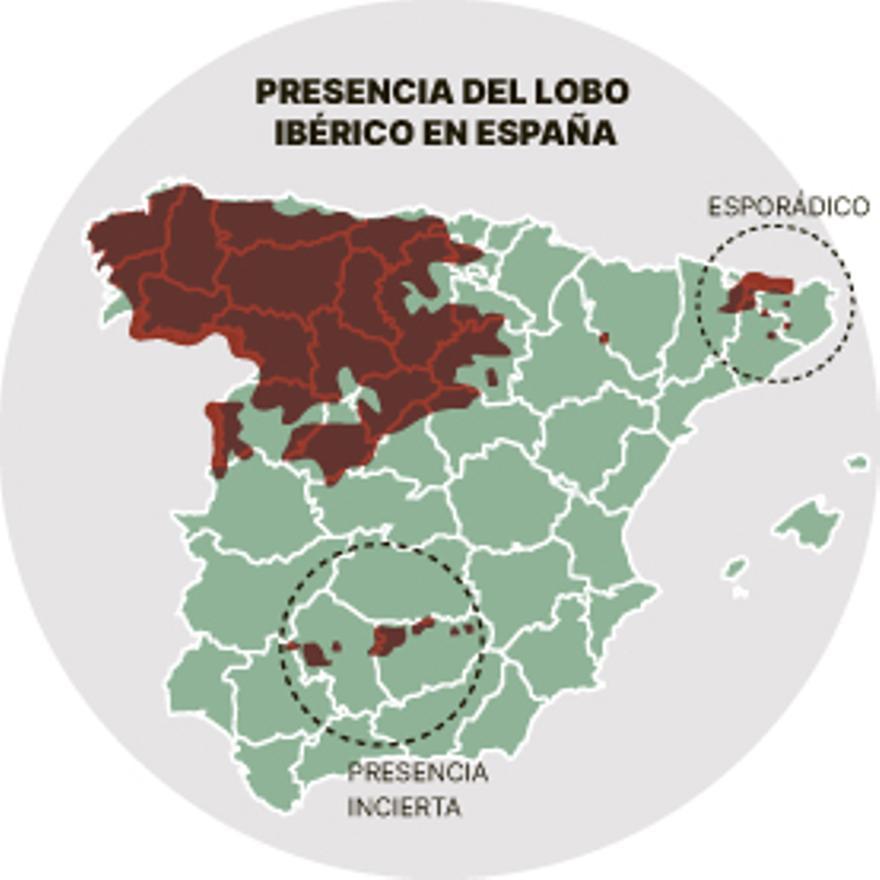 La distribución del lobo en España.