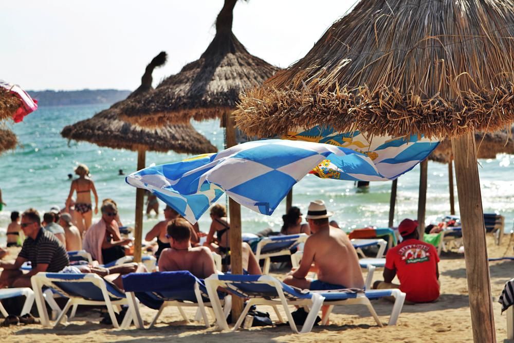 Wie sich die Playa de Palma in dieser Saison geschlagen hat.