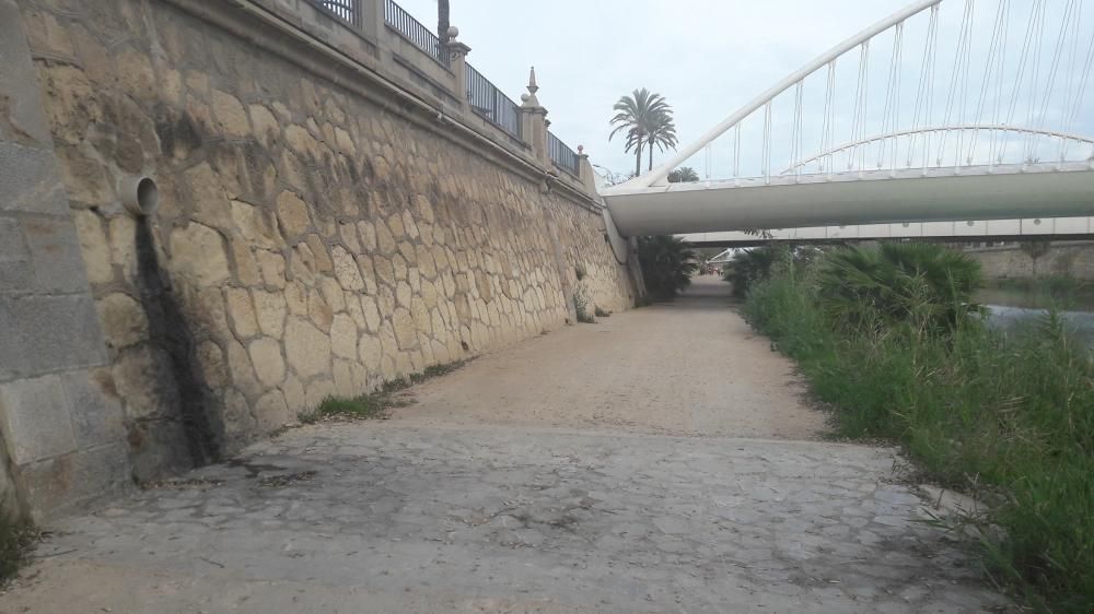 Estado actual del tramo urbano de la mota del río Segura en Murcia