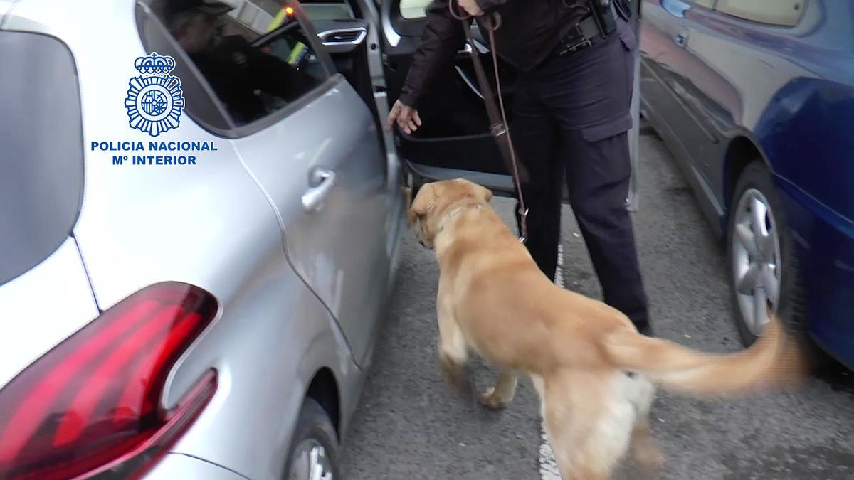 Detingut un home de 74 anys a Burgos com a autor de les cartes bomba