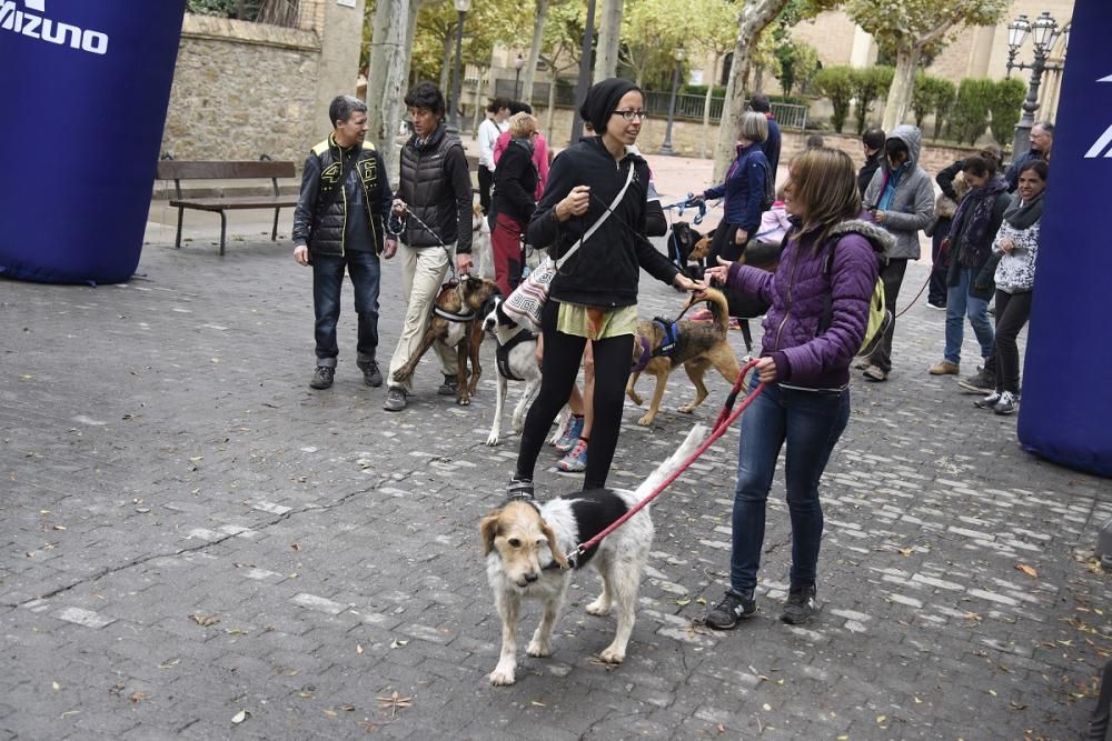 Caminada solidària de Regió7 a Solsona