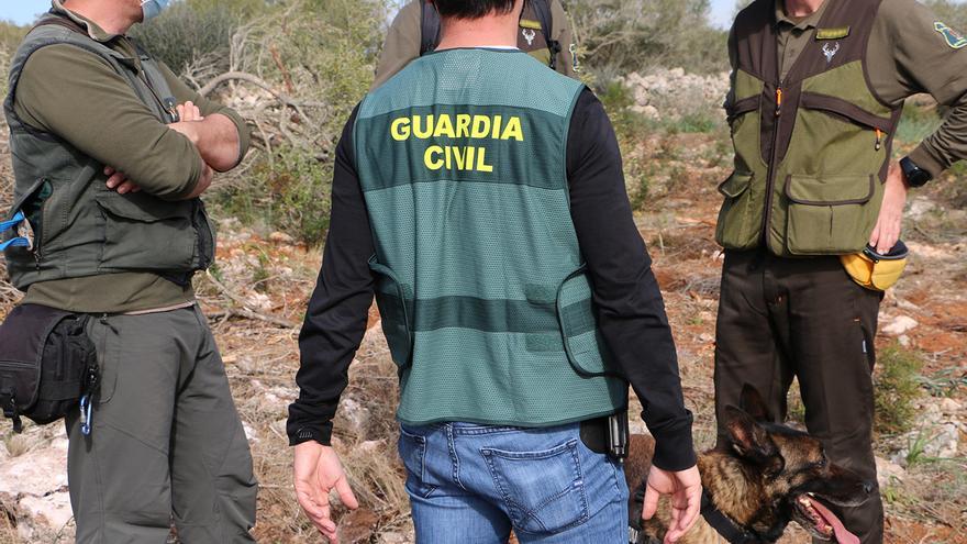 El Seprona investiga al dueño de una finca protegida de Llucmajor por deforestarla para plantar viñas