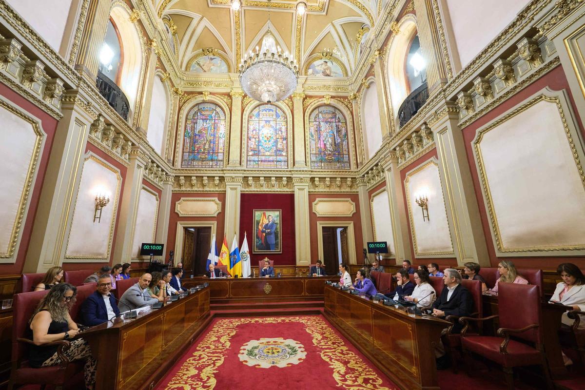 Pleno extraordinario de Santa Cruz