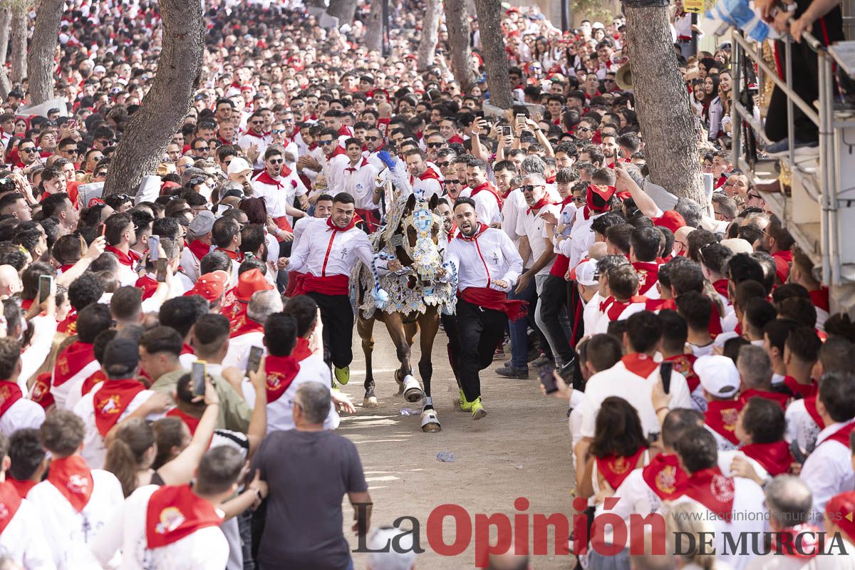 Así se ha vivido la carrera de Los Caballos del Vino en Caravaca