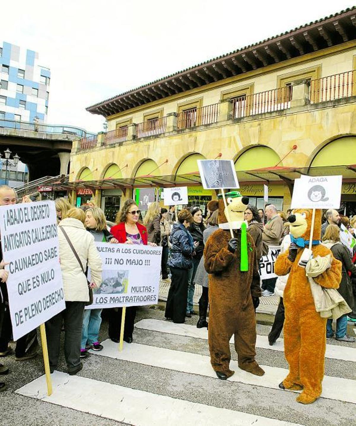 La libertad es gato