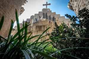 Así es el Huerto del Buen Jardinero de la Sagrada Família.
