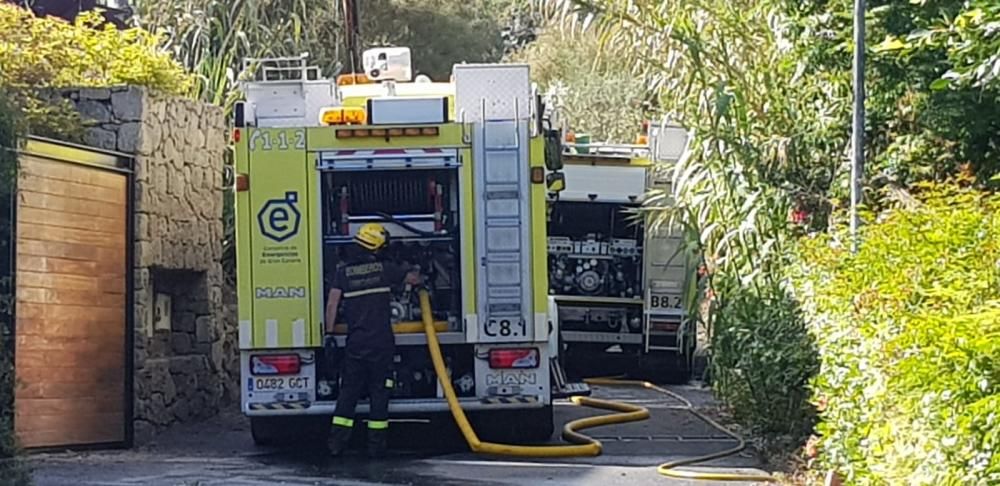 Incendio de cuatro palmeras en Bandama